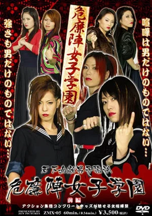 Постер: Kirenji Girls' Combat School