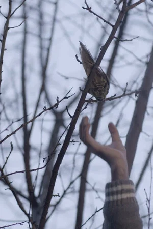 Постер: Screaming in Silence