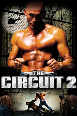 Постер: The Circuit 2: The Final Punch