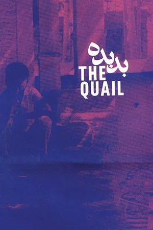 Постер: The Quail: The Tale of a Boy Who Asks