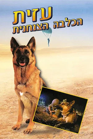 Постер: Azit the Paratrooper Dog