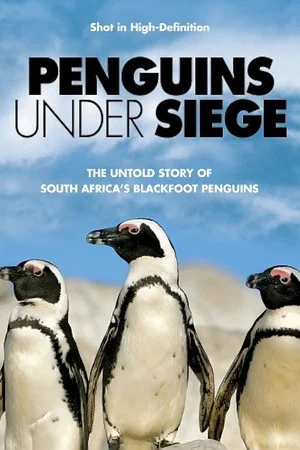 Постер: Penguins Under Siege