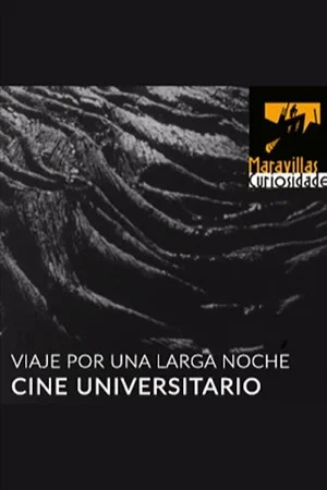 Постер: Viaje por una larga noche