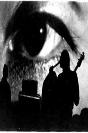 Постер: The Velvet Underground: Psychiatrist's Convention, NYC, 1966