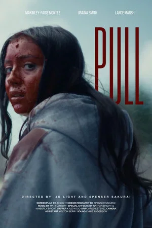 Постер: Pull