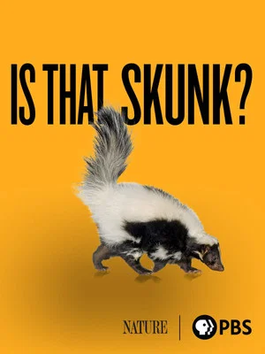 Постер: Is That Skunk?