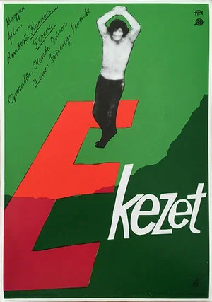 Постер: The Accent