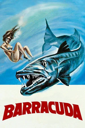 Постер: Barracuda