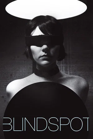 Постер: Blindspot