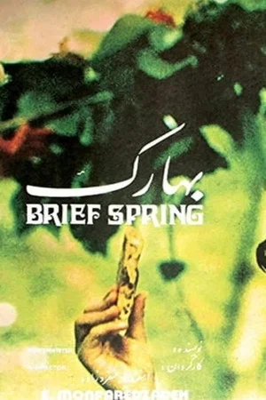 Постер: Brief Spring