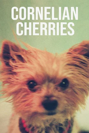 Постер: Cornelian Cherries