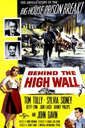 Постер: Behind the High Wall