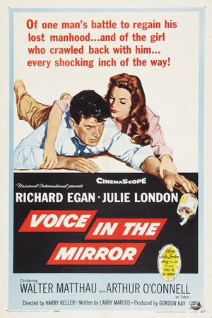 Постер: Voice in the Mirror