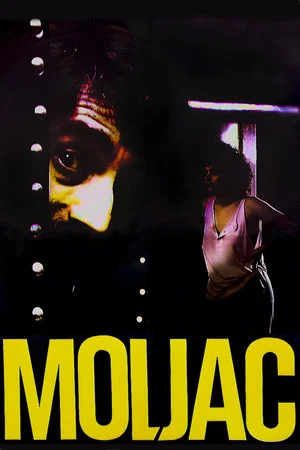 Постер: The Moth