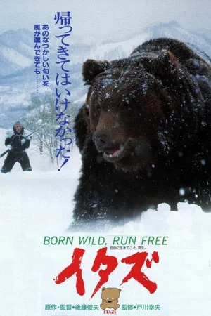 Постер: The Forest of the Little Bear
