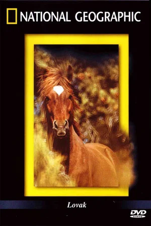 Постер: The Noble Horse