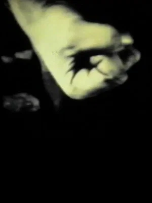 Постер: Manifeste