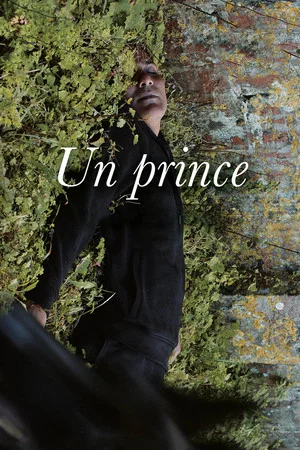 Постер: Un prince