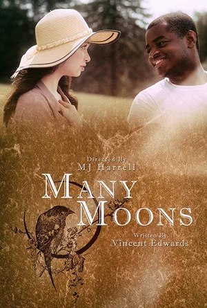 Постер: Many Moons
