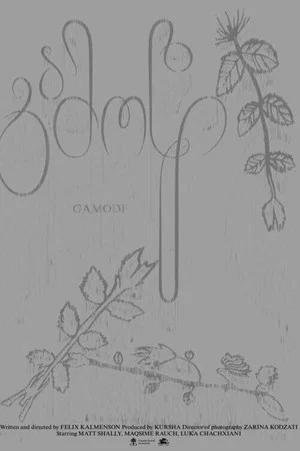 Постер: Gamodi