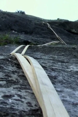 Постер: Stick Climbing