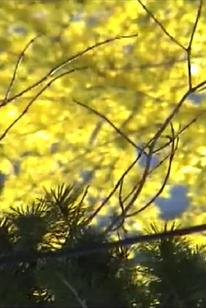 Постер: Late Spring