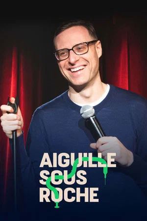 Постер: Aiguille sous roche