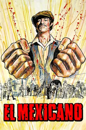 Постер: The Mexican