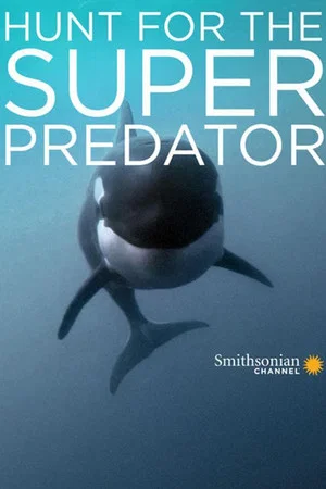 Постер: The Search for the Ocean's Super Predator