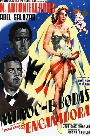 Постер: La engañadora