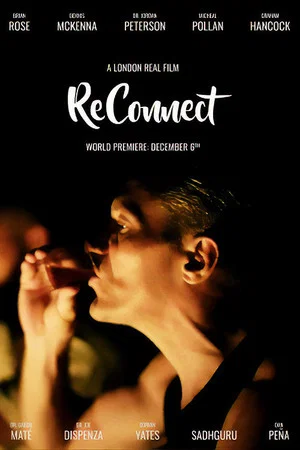 Постер: Reconnect