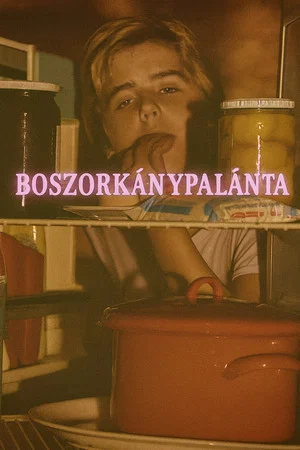 Постер: Boszorkánypalánta