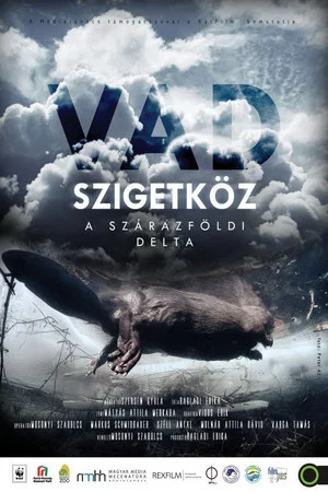 Постер: Szigetköz - The Inland Delta of the River Danube