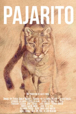 Постер: Pajarito