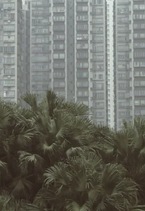 Постер: South Horizons
