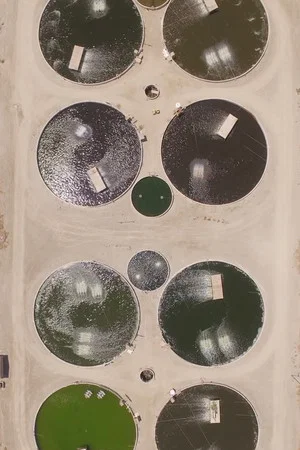 Постер: Imperial Valley (Cultivated Run-Off)