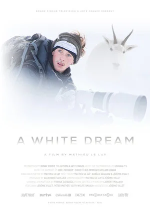 Постер: A White Dream