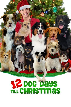 Постер: 12 Dog Days Till Christmas