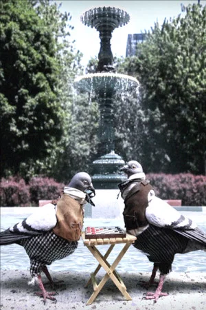 Постер: Saint-Louis Square