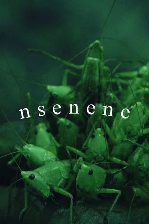 Постер: Nsenene