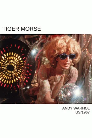 Постер: Tiger Morse