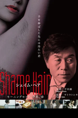 Постер: Shame Hair