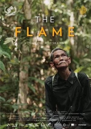 Постер: The Flame