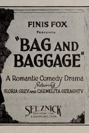 Постер: Bag and Baggage