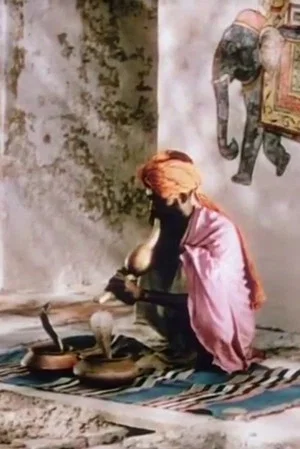 Постер: A Road in India