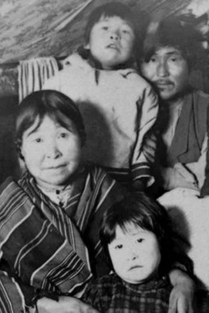 Постер: Labrador North