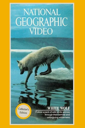 Постер: National Geographic: White Wolf