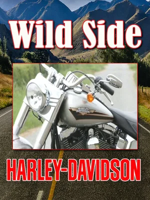 Постер: Ride On The Wild Side: Harley Davidson