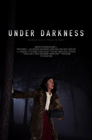 Постер: Under Darkness