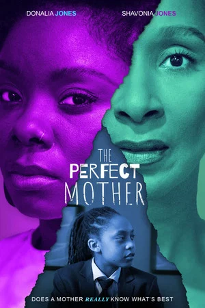 Постер: The Perfect Mother